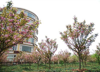 沁县中等职业学校2021年招生专业有哪些